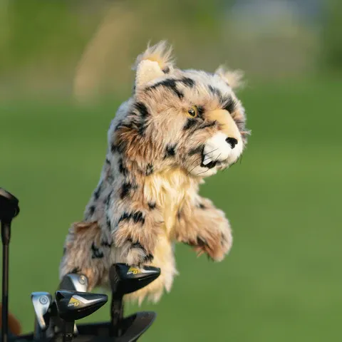 DAPHNES_HEADCOVER_bOBCAT