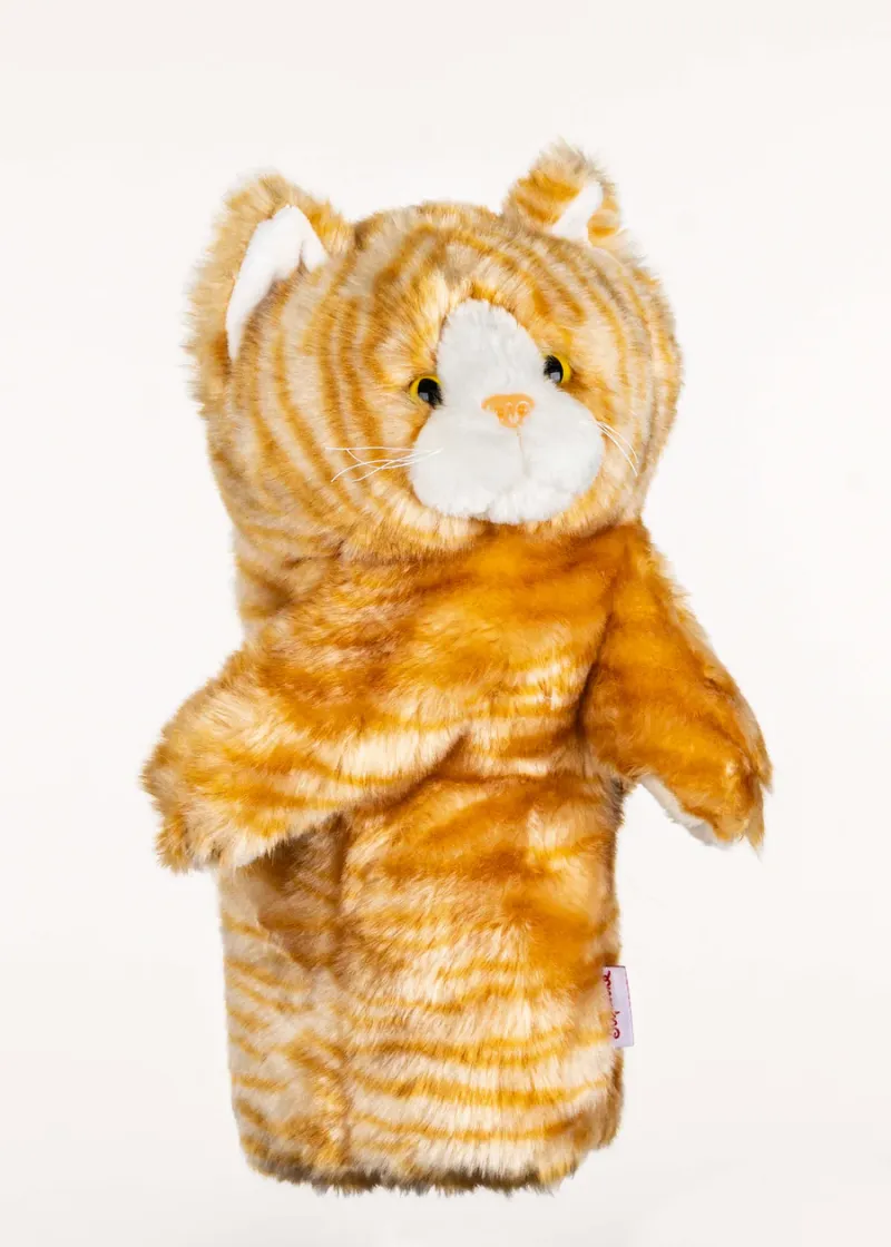 DAPHNES_HEADCOVER_TABBY_CAT